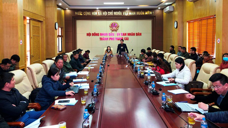 Hội thảo xây dựng quản lý và phát triển nhãn hiệu tập thể “Khoai lang Móng Cái”