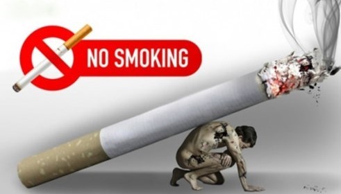 Tác hại của hút thuốc lá